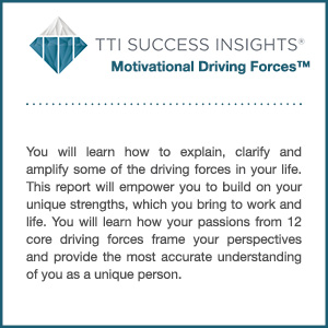 TTI Success Insights® Motivational Driving Forces™ assessment product description
